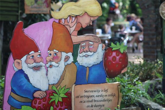 Aardbeienland | Entdecken Sie die Umgebung von Parkhotel Bad Arcen